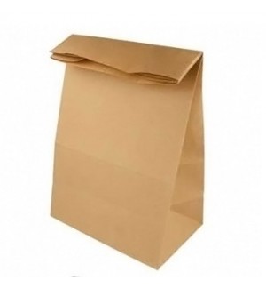 Saco sem Asas 24x14x37cm Papel Kraft 080g 1un