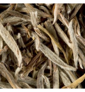 Chá Branco a Granel Jasmin Yin Zhen 500g