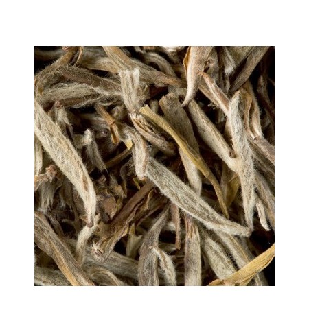 Chá Branco a Granel Jasmin Yin Zhen 500g