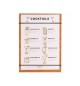Porta Menus 22,9x31,8x0,4cm c/Elásticos Bambu 1un