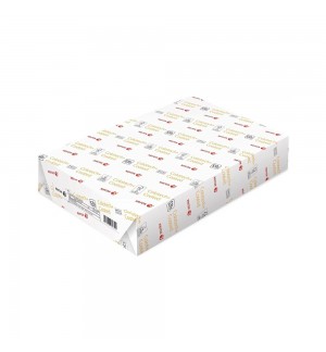 Papel SRA3 320x450mml 350gr Xerox Colotech Silk 1x125Fls