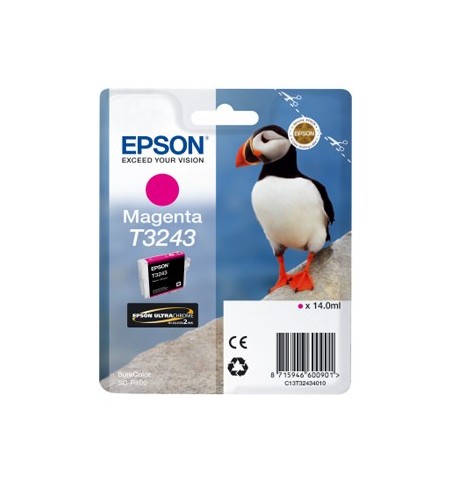 Tinteiro Epson T3243 Magenta C13T32434010 14ml 980 Pág.