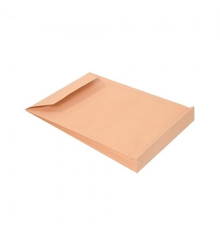 Envelopes Saco 250x353mm B4 Kraft 125gr C/Fole 40mm 50un