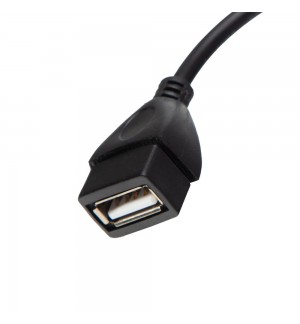 Adaptador USB-A / Mini USB Preto