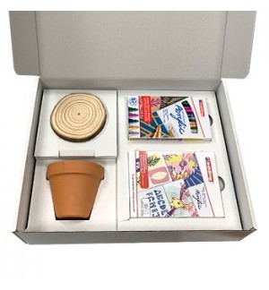 Pack Iniciação Acrílico Edding 5100 Metálico