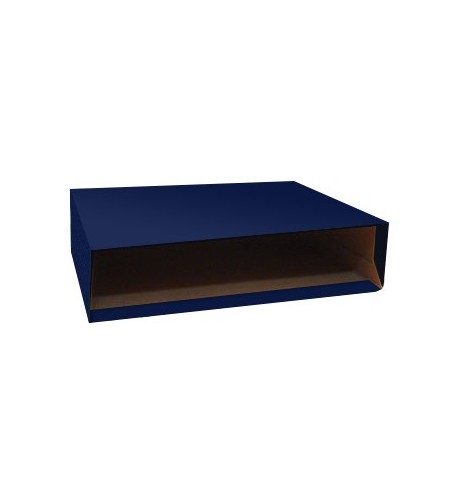 Caixa Cartao Micro p/Pasta Arquivo 310x290 L80 (Azul)