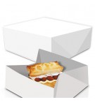 Caixa Cartolina Branca 24x24x9,5cm 50un