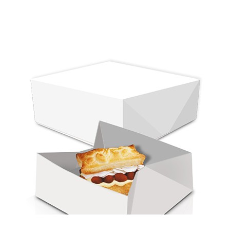 Caixa Cartolina Branca 24x24x9,5cm 50un