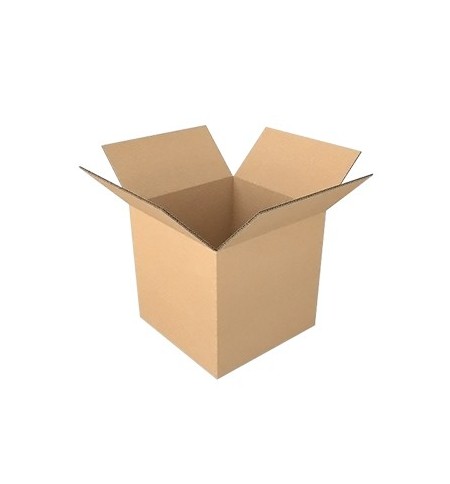 Caixa Cartão Simples 230x230x230mm 25un