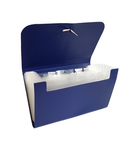 Pasta Plastico c/Elasticos Check File 178x115mm c/12 Div