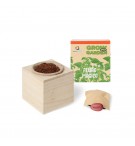 Grow your Garden Feijão Mágico Ambarscience