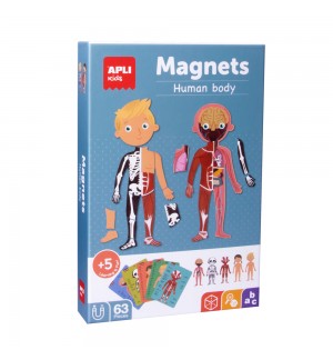 Jogo Educativo Magnético Apli Corpo Humano 63 Peças