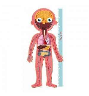 Jogo Educativo Puzzle Apli Corpo Humano 240 Peças