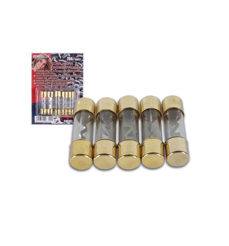 Fusível de Alimentação HI-FI para Automóveis 30A 5un