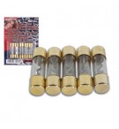 Fusível de Alimentação HI-FI para Automóveis 40A 5un