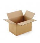 Caixa Cartão Simples 260x210x250mm 20un