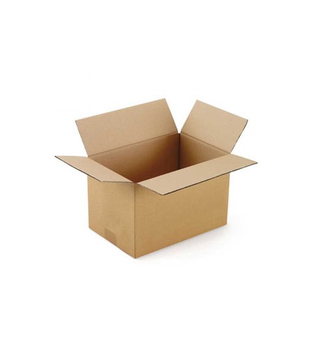 Caixa Cartão Simples 260x210x250mm 20un