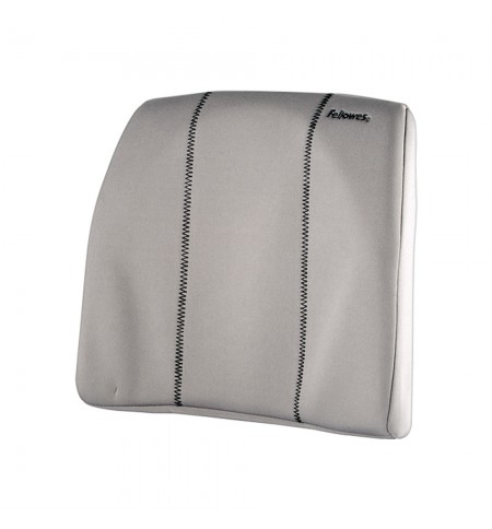 Encosto Lombar Espuma Ergonómico