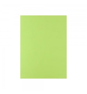 Cartolina 50x65cm Verde Lima 3N 180g 1 Folha