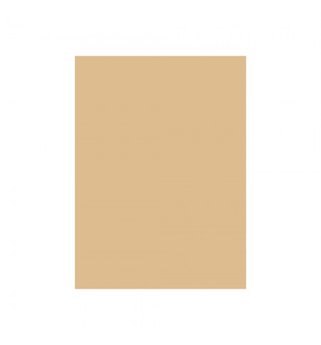 Cartolina 50x65cm Castanho Camurca 4D 180g 1 Folha