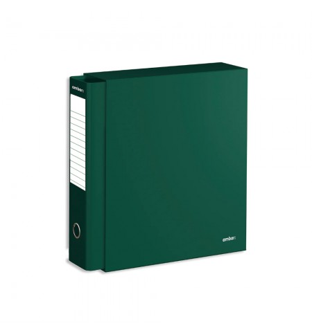 Pasta Arquivo+Cx Ambar L/L Din com calha Verde