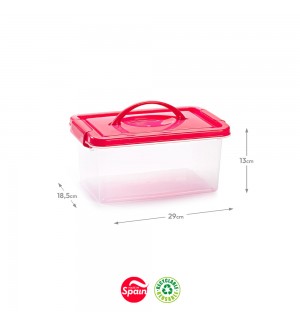 Caixa Plástico 29x18,5x13cm Sortida 4L