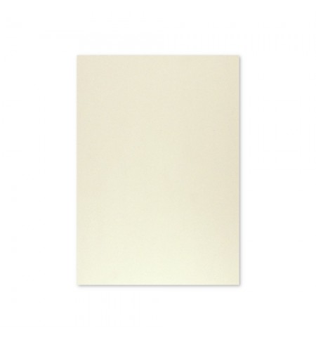 Cartolina 50x65cm Cinzento 9 180g 1 Folha
