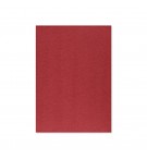 Cartolina A4 Vermelho 8F 250g 125 Folhas