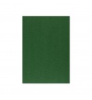 Cartolina A4 Verde Escuro 3C 250g 125 Folhas