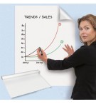 Folhas de Escrita Eletrostáticas 60x80cm Rolo 25Fls