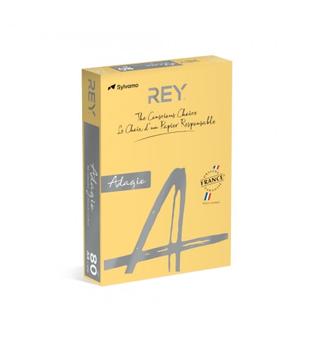 Papel Fotocopia Creme/Manteiga Adagio(cd02) A4 80gr 1x500F