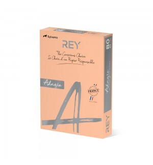 Papel Fotocopia Salmao/Beje Adagio(cd91) A4 80gr 1x500Fls