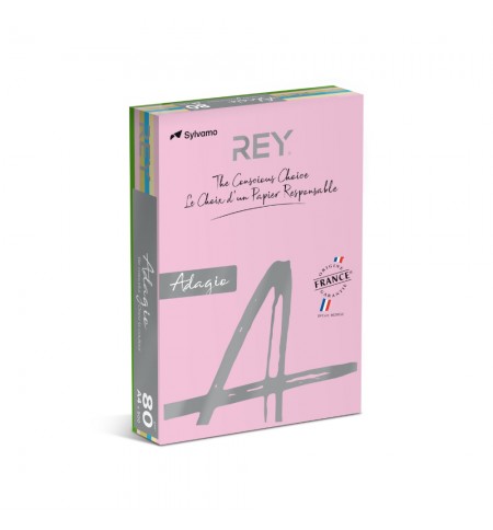 Papel Fotocopia 5 Cores Suaves A4 080gr 5x100 500Fls