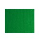 Papel Crepe Verde Bandeira 50x250cm Rolo
