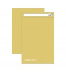 Envelopes Saco 162x229mm C5 Kraft 090g Autodex 250un