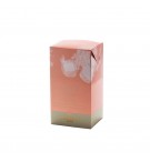 Chá Verde Frio em Bolsas Pêche 6un