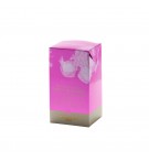 Chá Carcadet Frio em Bolsas Passion Framboise 6un